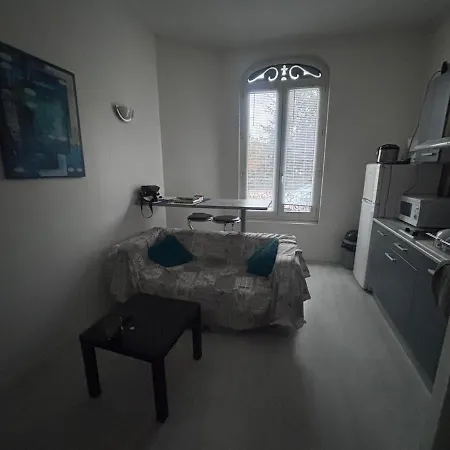 Castel Lily 2 - Face Au Parc- Apartamento Vichy