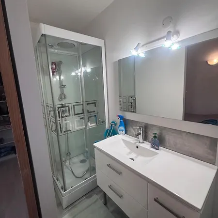 Апартаменты Castel Lily 2 - Face Au Parc- Виши