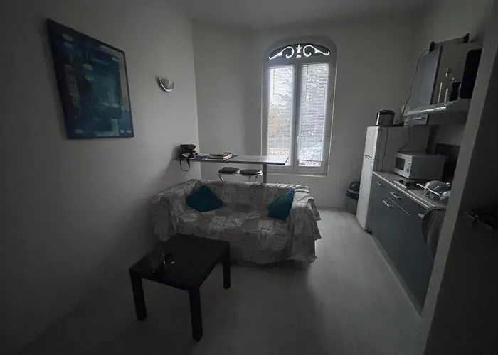 Castel Lily 2 - Face Au Parc- Apartamento Vichy