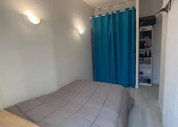 Castel Lily 2 - Face Au Parc- Lejlighed Vichy