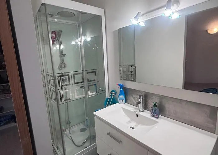 Lejlighed Castel Lily 2 - Face Au Parc- Vichy