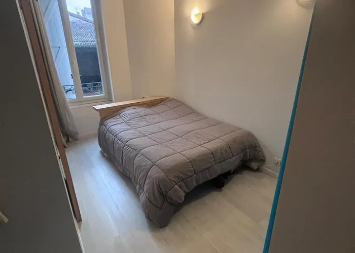 Castel Lily 2 - Face Au Parc- Виши